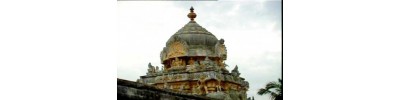 58. திருநின்றவூர்